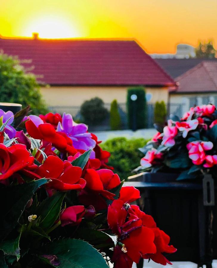 Tomis Pensiune Băile Felix Exteriör bild